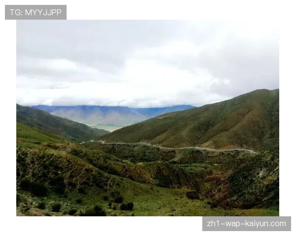 山西队场均112.8分冠绝联盟 跑轰战术掀起进攻革命